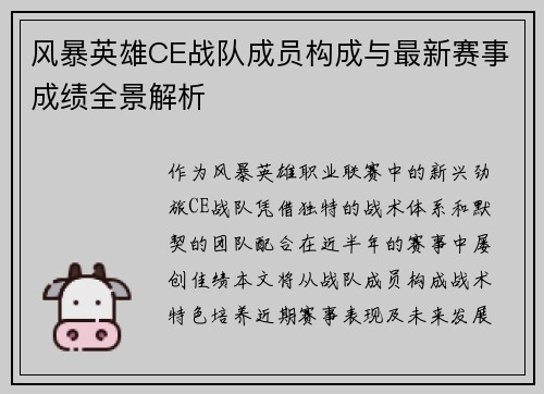 风暴英雄CE战队成员构成与最新赛事成绩全景解析