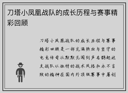 刀塔小凤凰战队的成长历程与赛事精彩回顾