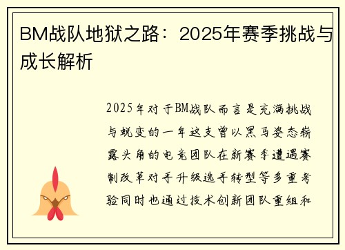 BM战队地狱之路：2025年赛季挑战与成长解析